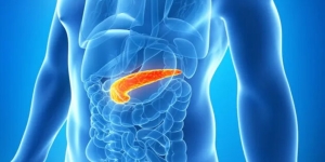 Un estudio vincula el consumo de alcohol con una mayor incidencia del cáncer de páncreas