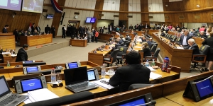 Ministra de Salud no va al Senado y es tildada de “inepta” e “ineficiente” por Silvio Ovelar