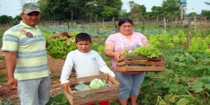 Programa “Jepytaso” permitirá acceso a créditos a productores rurales